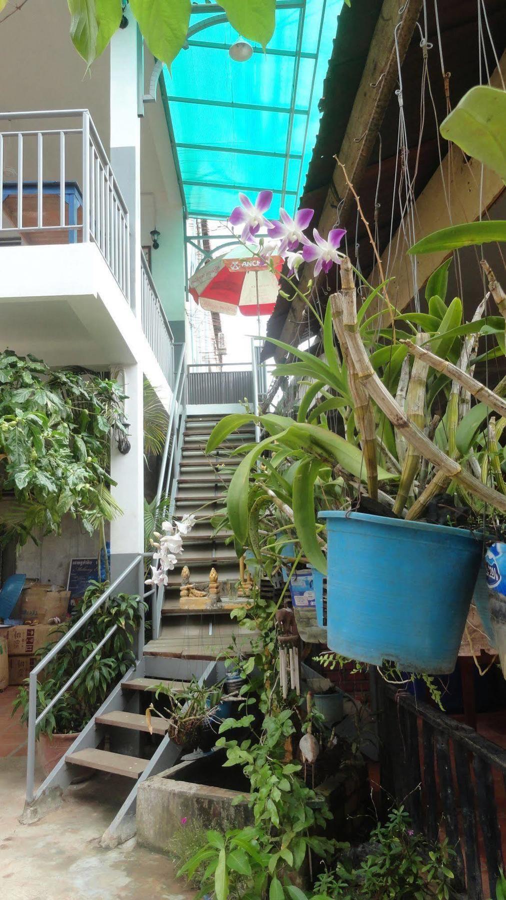 Green Park Village Guesthouse Siem Reap Exterior photo